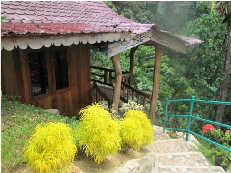 On The Rocks Bungalows, Restaurant And Jungle Trekking Tours Bukit Lawang Zewnętrze zdjęcie
