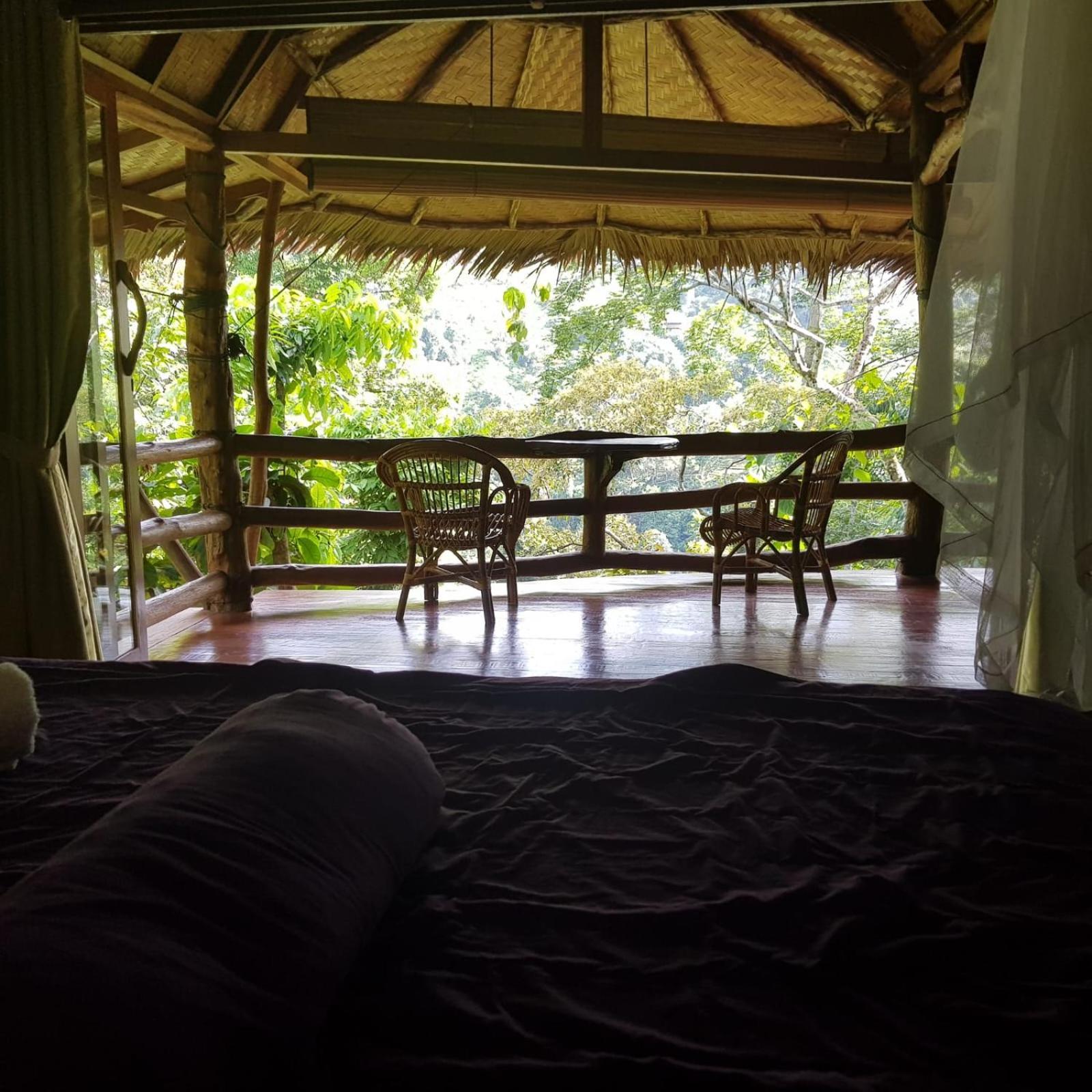 On The Rocks Bungalows, Restaurant And Jungle Trekking Tours Bukit Lawang Zewnętrze zdjęcie