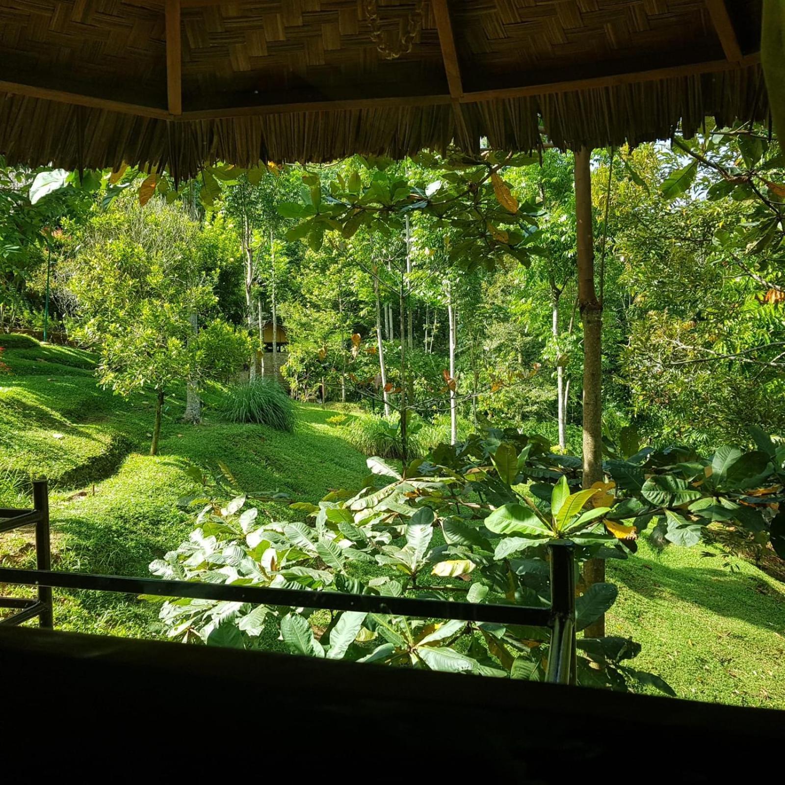 On The Rocks Bungalows, Restaurant And Jungle Trekking Tours Bukit Lawang Zewnętrze zdjęcie