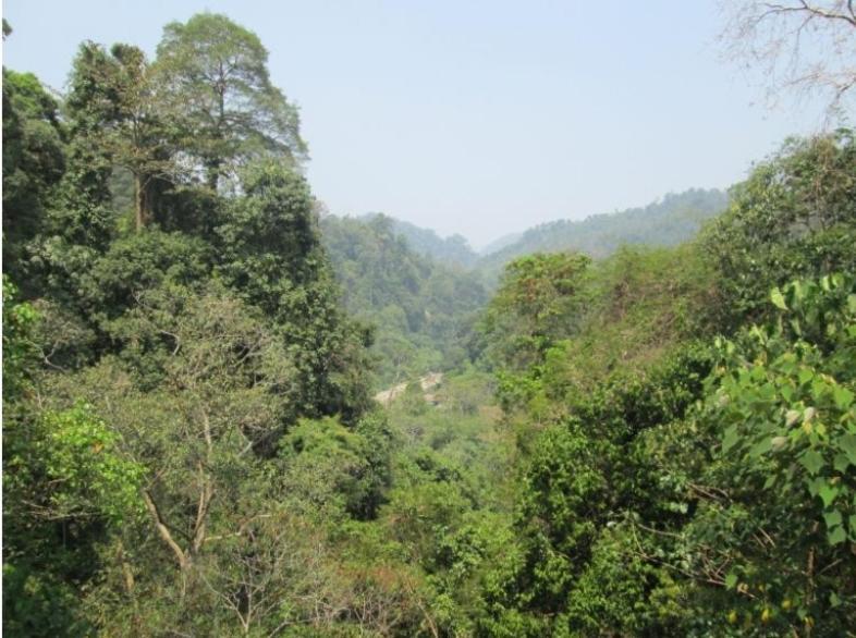 On The Rocks Bungalows, Restaurant And Jungle Trekking Tours Bukit Lawang Zewnętrze zdjęcie