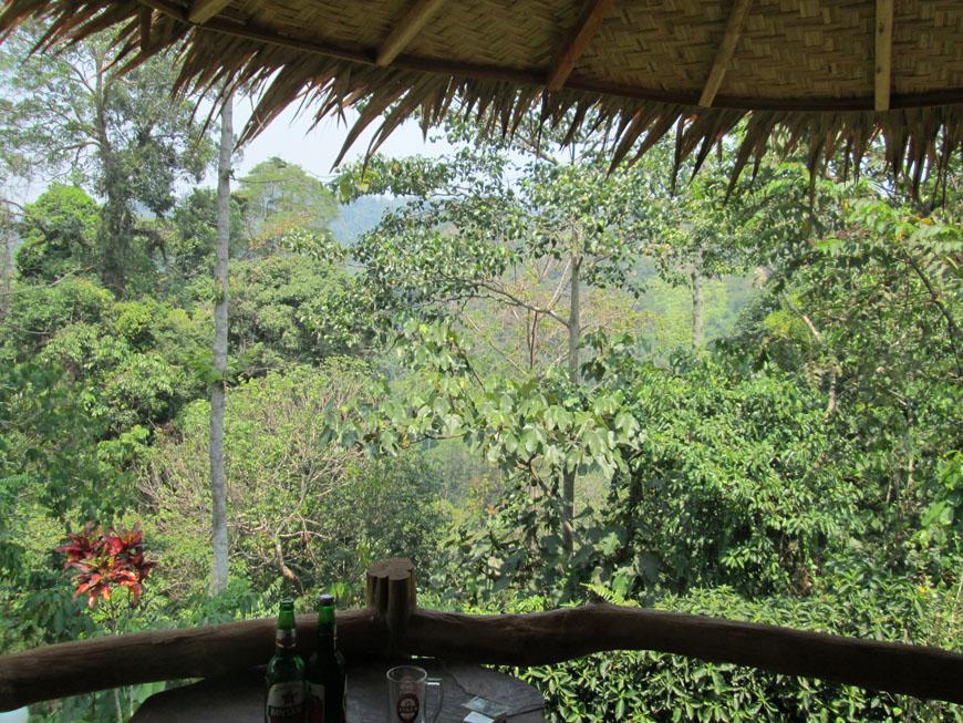 On The Rocks Bungalows, Restaurant And Jungle Trekking Tours Bukit Lawang Zewnętrze zdjęcie