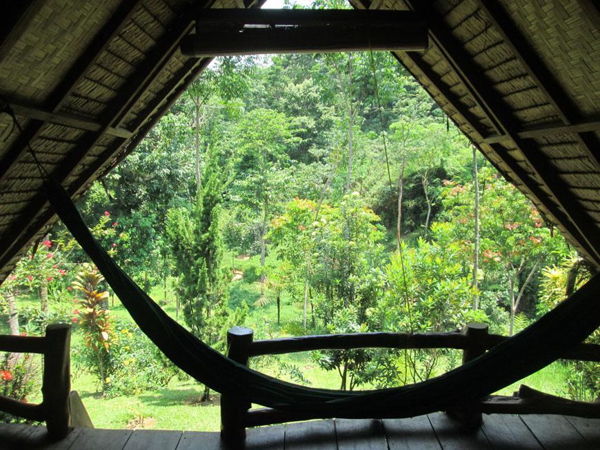 On The Rocks Bungalows, Restaurant And Jungle Trekking Tours Bukit Lawang Zewnętrze zdjęcie