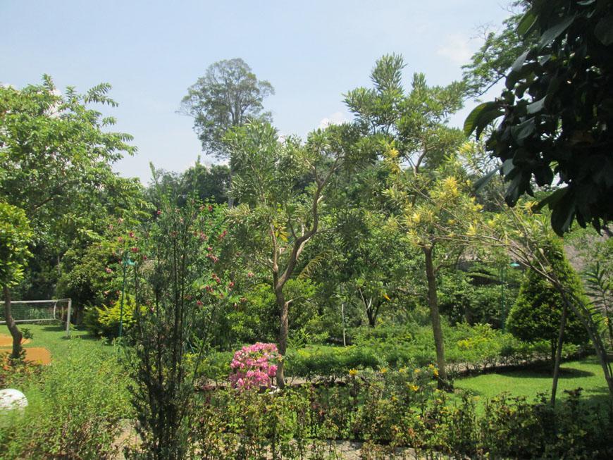 On The Rocks Bungalows, Restaurant And Jungle Trekking Tours Bukit Lawang Zewnętrze zdjęcie