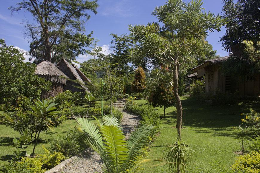 On The Rocks Bungalows, Restaurant And Jungle Trekking Tours Bukit Lawang Zewnętrze zdjęcie