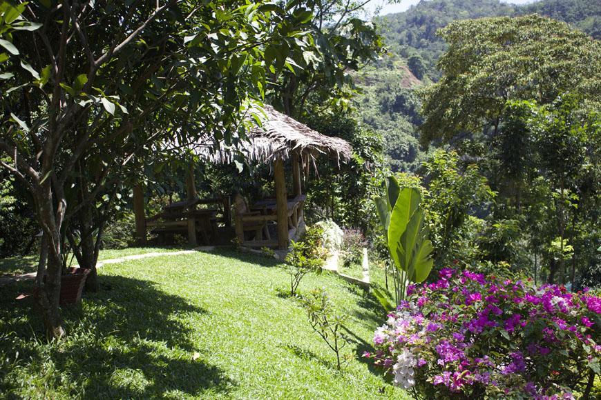 On The Rocks Bungalows, Restaurant And Jungle Trekking Tours Bukit Lawang Zewnętrze zdjęcie