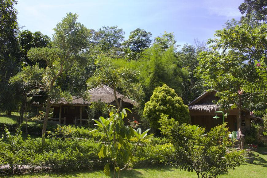 On The Rocks Bungalows, Restaurant And Jungle Trekking Tours Bukit Lawang Zewnętrze zdjęcie